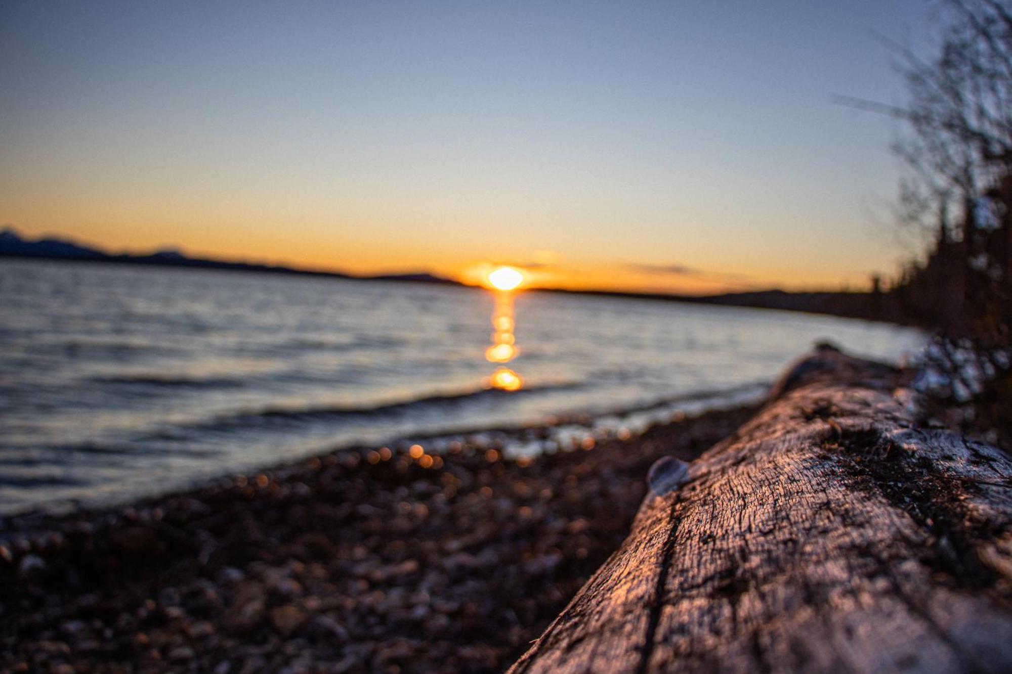 Little Atlin Lodge Tagish Екстериор снимка