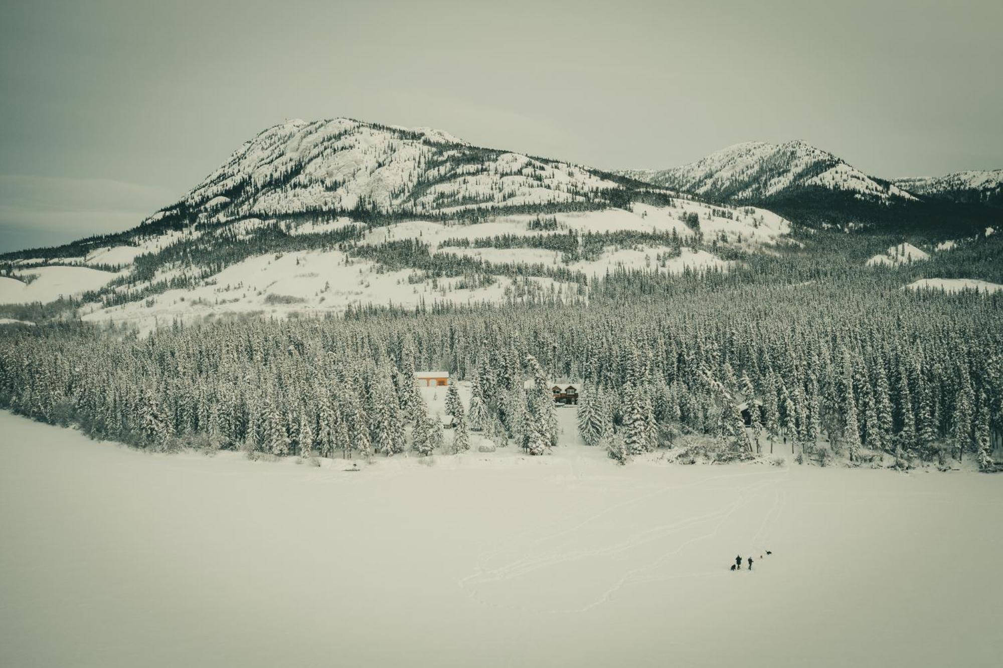 Little Atlin Lodge Tagish Екстериор снимка
