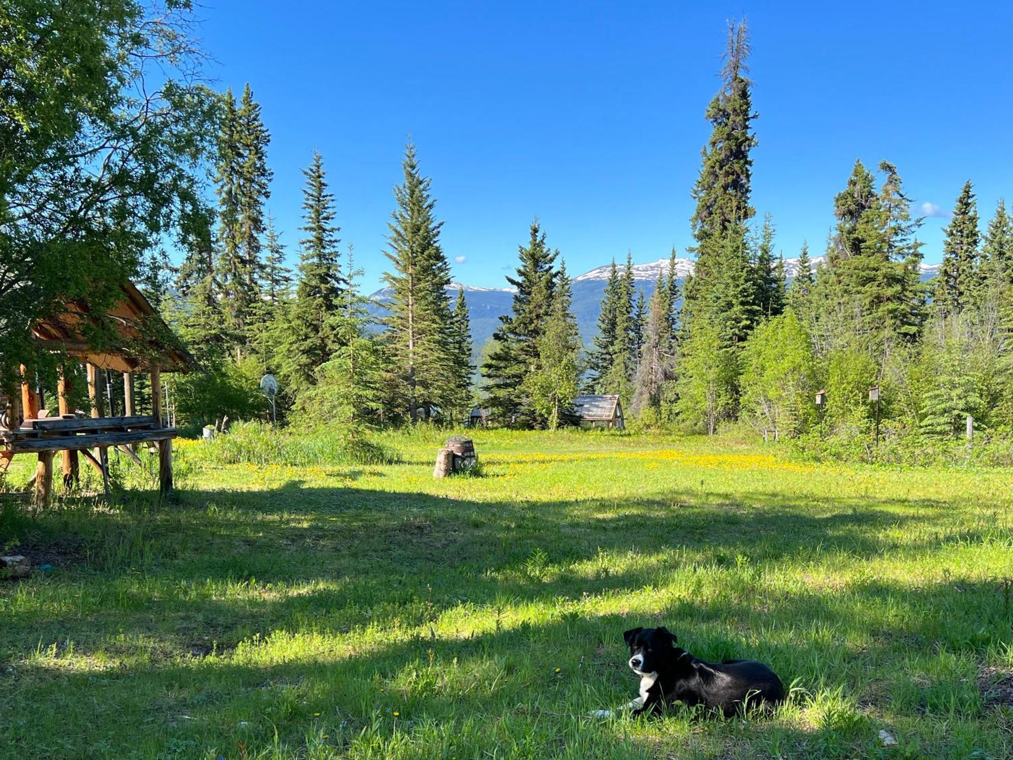Little Atlin Lodge Tagish Екстериор снимка
